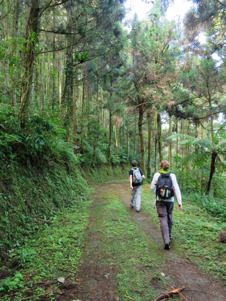 The peaceful Neidong Forest Road offers easy, scenic walking and a few great views
